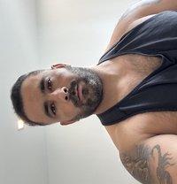 Taregh Ghorbani - Male escort in Kuala Lumpur