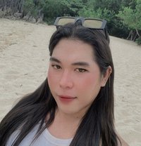 Tasha (Cam,Cotent,meet) - Transsexual escort in Manila