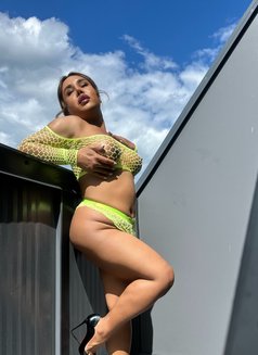 Tasha Camelia - Acompañantes transexual in Paris Photo 7 of 10