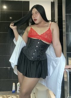 Tasha Camshow,Cotent,Meet,BDSM - Transsexual escort in Manila Photo 7 of 7