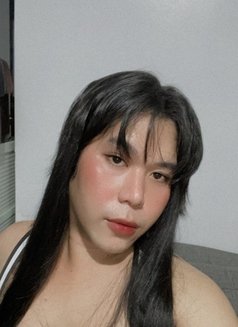 Tasha CONTENT,CAMSHOW - Acompañantes transexual in Manila Photo 2 of 6