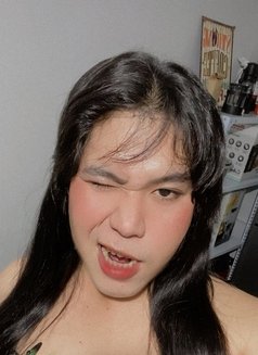 Tasha CONTENT,CAMSHOW - Acompañantes transexual in Manila Photo 4 of 6