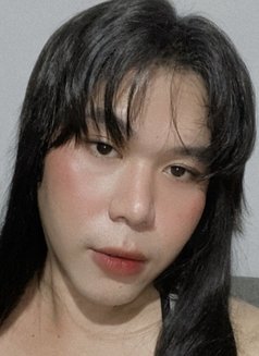 Tasha CONTENT,CAMSHOW - Acompañantes transexual in Manila Photo 5 of 6