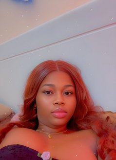 Tasha - puta in Doha Photo 1 of 3