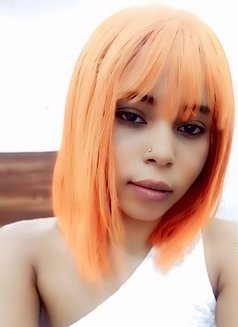 TASHA NEW ARRIVAL IN GURGAON - escort in Gurgaon Photo 4 of 11