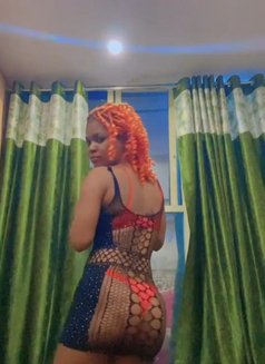 Tasha Real Meet - escort in New Delhi Photo 3 of 7