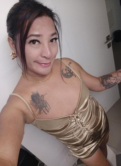 Tashi - Transsexual escort in Haifa Photo 4 of 6