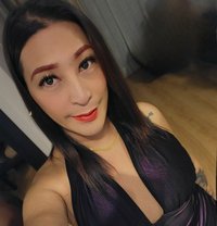Tashi - Transsexual escort in Tel Aviv