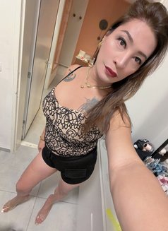 Tashi - Transsexual escort in Haifa Photo 12 of 12