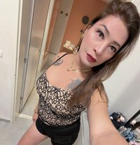 Tashi - Transsexual escort in Tel Aviv