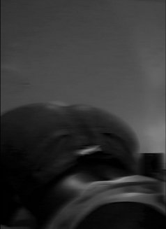 Tashley* - puta in Nairobi Photo 4 of 6