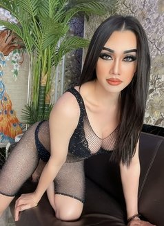 Tata Thai Top Bigdick - Transsexual escort in Dubai Photo 12 of 14