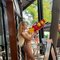 Tattiana the blowjob queen - escort in Da Nang Photo 3 of 8
