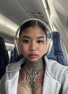 Tattooed Asian Muse KAI - escort in Manila Photo 11 of 13