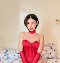 Tawa Hot, Sexy, Spicy - Transsexual escort in Riyadh