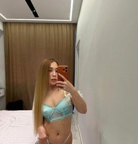 Taylor - escort in Dubai