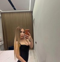 Taylor - escort in Dubai