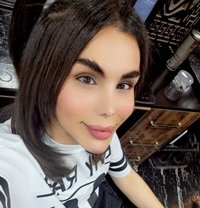 Tea - Transsexual escort in Erbil