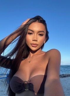 Hottest _Ari_ - Transsexual escort in Cebu City Photo 1 of 10