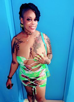 Teaser Pleaser - Agencia de putas in Barbados Photo 3 of 13