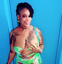 Teaser Pleaser - escort agency in Barbados