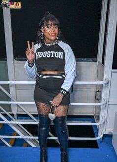 Teaser Pleaser - Agencia de putas in Barbados Photo 6 of 13