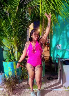Teaser Pleaser - Agencia de putas in Barbados Photo 7 of 13