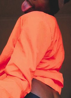 Teddy Sub - Transsexual escort in Nairobi Photo 6 of 7
