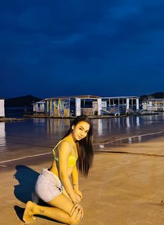 Teen Star Rose Cam/meet - Transsexual escort in Manila Photo 10 of 10