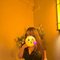 Teena Available 24×7 Book Now - escort in Kathmandu Photo 2 of 2