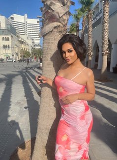 Lara Red - Acompañantes transexual in Tel Aviv Photo 15 of 16