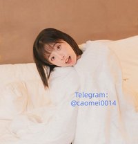 Telegram：@caomei0014 - escort in Taipei