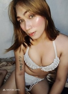 Tenchi - Transsexual escort in Manila Photo 1 of 1