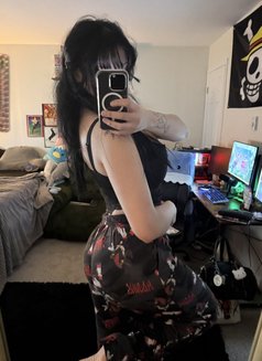 Tenny - escort in Paris Photo 5 of 5