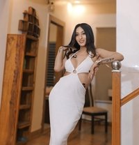 Tenzin sexy/classy and smooth.Cam/Real - Transsexual escort in New Delhi