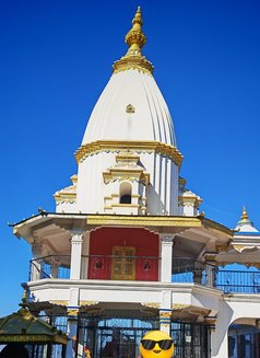 Terex Dino - Acompañantes masculino in Kathmandu Photo 1 of 3
