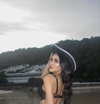 Terissy - Transsexual escort in Phuket
