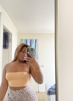 Terra Lakes - escort in Cologne Photo 3 of 3