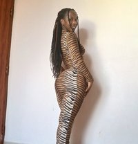 Terry - escort in Chennai