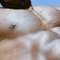 Terry - Male escort in Doha Photo 1 of 3