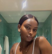 Terry - escort in Dammam Photo 1 of 6
