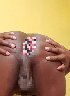 Terrylee - Transsexual escort in Nairobi Photo 2 of 8