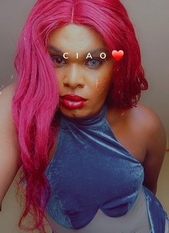 Terrylee - Transsexual escort in Nairobi Photo 3 of 8