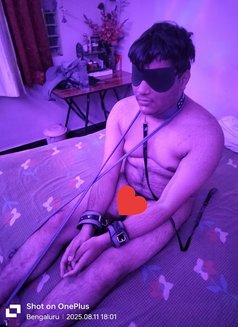 HYGIENIC BENGALI SHEMALE MONIKA - Acompañantes transexual in Bangalore Photo 30 of 30