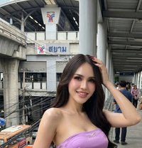 Teya Th Teya - Transsexual escort in Bangkok