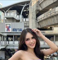 Teya Th Teya - Transsexual escort in Bangkok