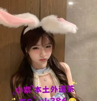 小紫の本土外送茶tg： @Uk386 - escort in Taichung Photo 1 of 16