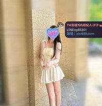 ๅฐ็ฃๅค็ด็ถ็ดไบบtg+xy8520 - escort in Taipei