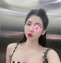 Harry - Agencia de putas in Phu Quoc