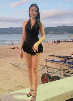 Thai girl 100% #new classy and elegant - escort in Phuket Photo 7 of 8